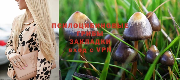 a pvp Абаза